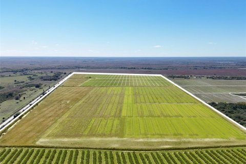 Land in Okeechobee, Florida № 2109181 - photo 7