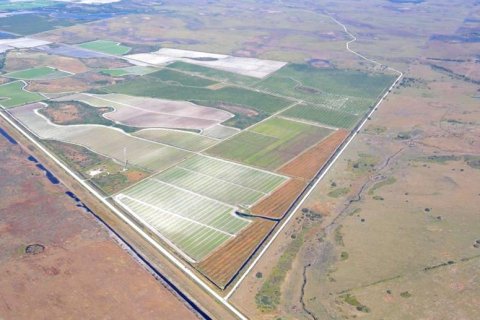 Land in Okeechobee, Florida № 2109181 - photo 3