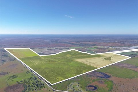 Land in Okeechobee, Florida № 2109181 - photo 6