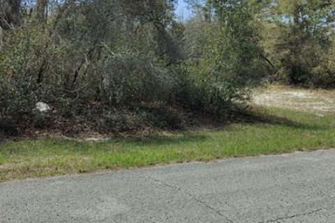 Land in Kissimmee, Florida № 2214813 - photo 2