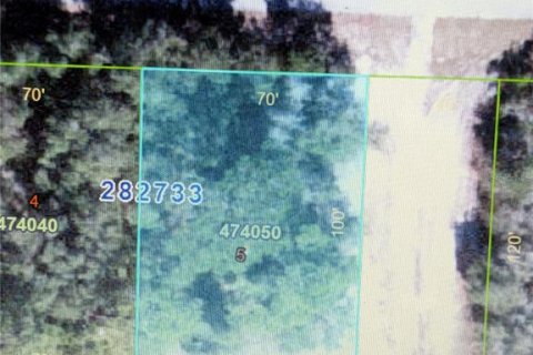 Land in Kissimmee, Florida № 2214813 - photo 4