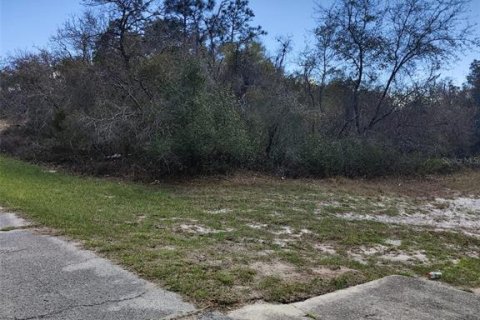 Land in Kissimmee, Florida № 2214813 - photo 3