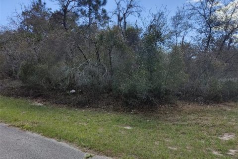 Land in Kissimmee, Florida № 2214813