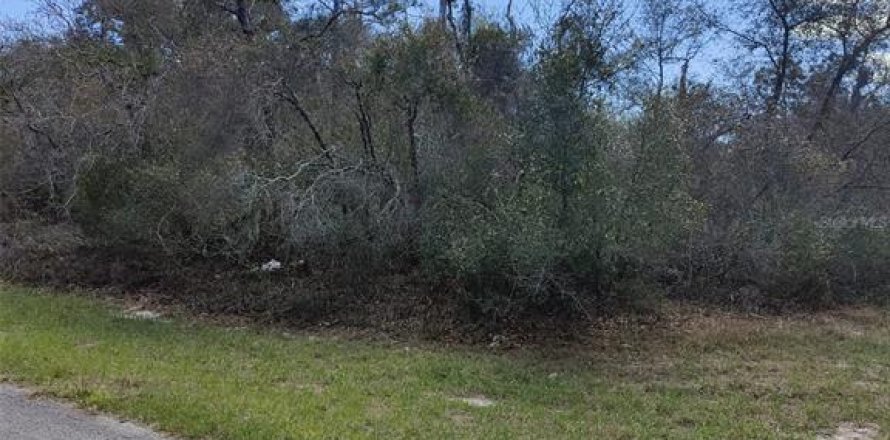 Land in Kissimmee, Florida № 2214813
