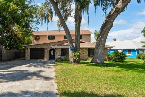House in New Port Richey, Florida 5 bedrooms, 302.68 sq.m. № 2310022