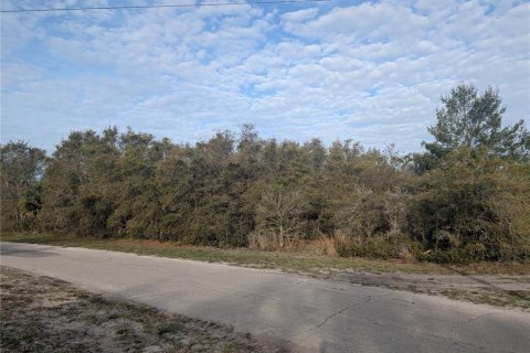 Land in Indian lake estates, Florida № 2160554 - photo 7