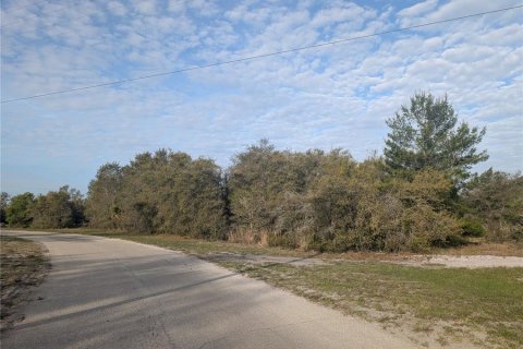 Land in Indian lake estates, Florida № 2160554