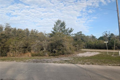 Land in Indian lake estates, Florida № 2160554 - photo 6