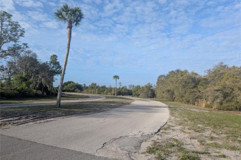 Land in Indian lake estates, Florida № 2160554 - photo 3