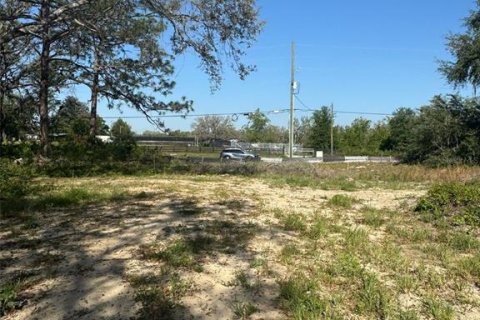 Terreno en venta en Dade City, Florida № 1812591 - foto 3