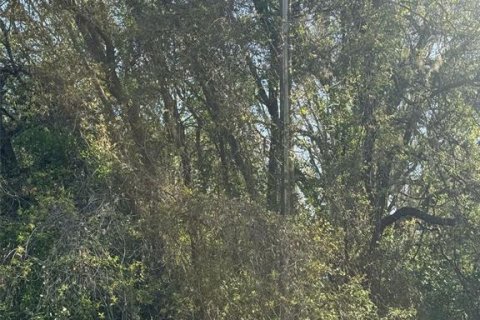Terreno en venta en Dade City, Florida № 1812591 - foto 1