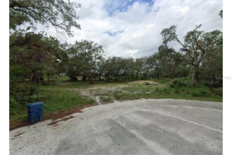 Terreno en venta en Dade City, Florida № 1812591 - foto 2