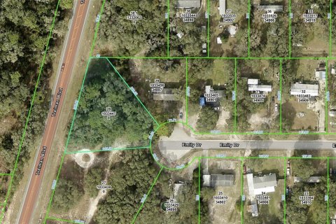Terreno en venta en Dade City, Florida № 1812591 - foto 10