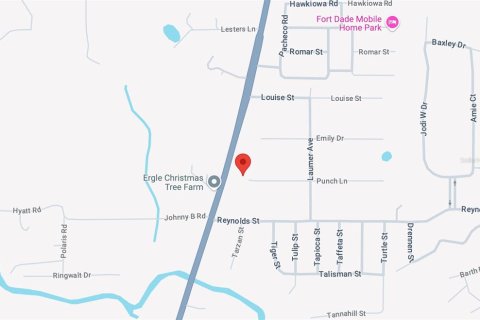 Terreno en venta en Dade City, Florida № 1812591 - foto 9