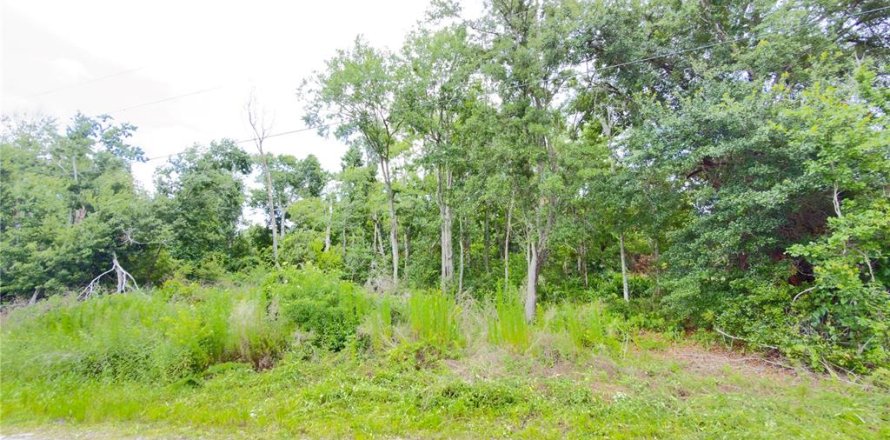 Terreno en Wesley Chapel, Florida № 2101661
