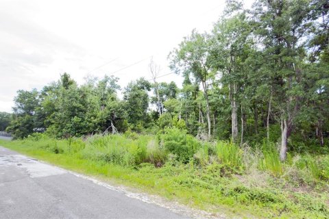 Terreno en venta en Wesley Chapel, Florida № 2101661 - foto 3