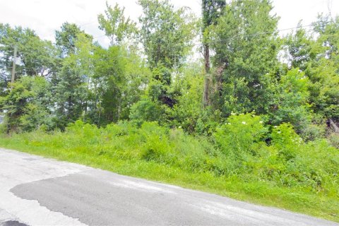 Terreno en venta en Wesley Chapel, Florida № 2101661 - foto 5