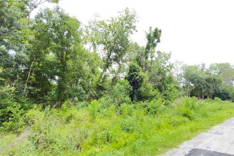 Terreno en venta en Wesley Chapel, Florida № 2101661 - foto 6