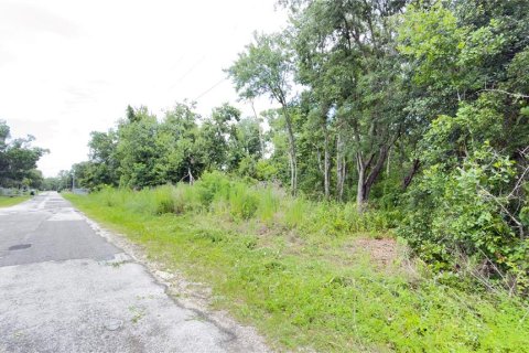 Terreno en venta en Wesley Chapel, Florida № 2101661 - foto 4