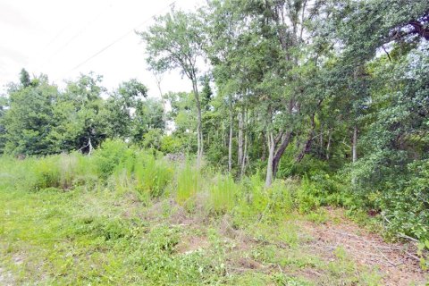 Terreno en venta en Wesley Chapel, Florida № 2101661 - foto 2