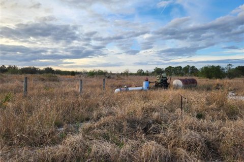 Land in Frostproof, Florida № 1736744 - photo 28