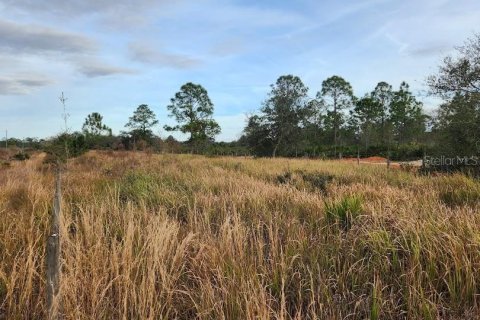 Land in Frostproof, Florida № 1736744 - photo 20