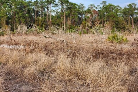 Land in Frostproof, Florida № 1736744 - photo 14