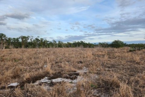Land in Frostproof, Florida № 1736744 - photo 5