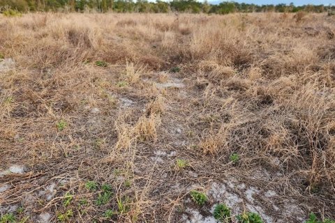 Land in Frostproof, Florida № 1736744 - photo 17