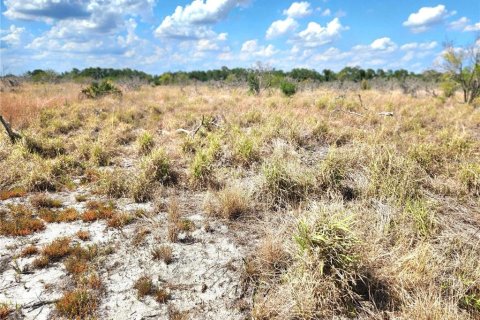 Land in Frostproof, Florida № 1736744 - photo 7