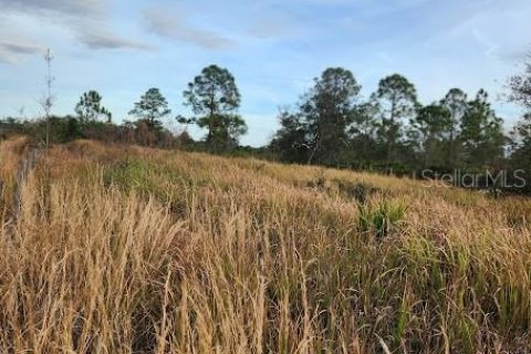 Land in Frostproof, Florida № 1736744 - photo 22