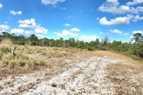 Land in Frostproof, Florida № 1736744 - photo 6