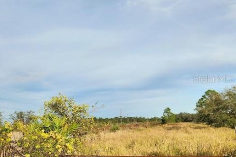 Land in Frostproof, Florida № 1736744 - photo 3
