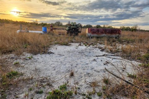 Land in Frostproof, Florida № 1736744 - photo 29