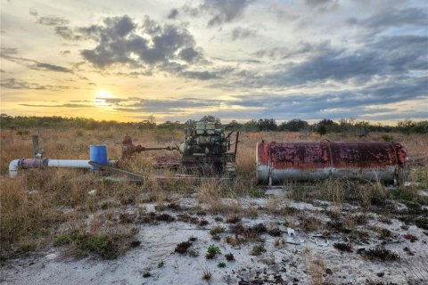 Land in Frostproof, Florida № 1736744 - photo 30