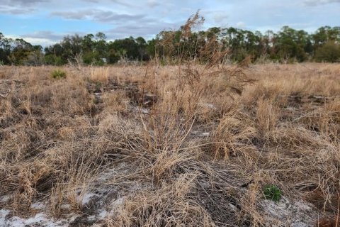 Land in Frostproof, Florida № 1736744 - photo 11