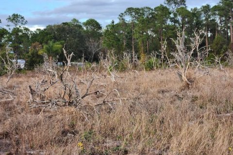 Land in Frostproof, Florida № 1736744 - photo 10