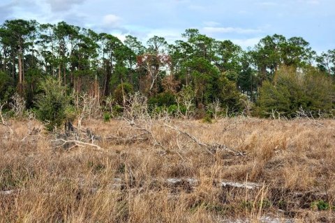 Land in Frostproof, Florida № 1736744 - photo 9