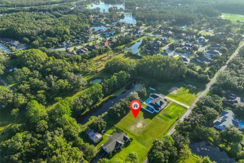 Land in Odessa, Florida № 1910114 - photo 4
