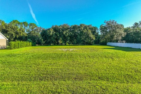 Land in Odessa, Florida № 1910114 - photo 1