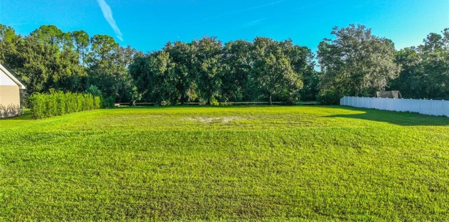 Land in Odessa, Florida № 1910114