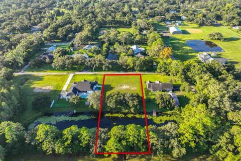Land in Odessa, Florida № 1910114 - photo 8