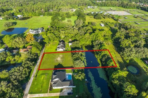 Land in Odessa, Florida № 1910114 - photo 6