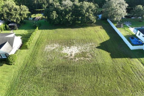 Land in Odessa, Florida № 1910114 - photo 11