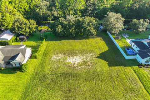 Land in Odessa, Florida № 1910114 - photo 2