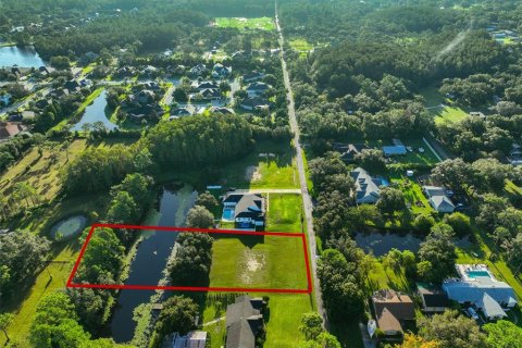 Land in Odessa, Florida № 1910114 - photo 9