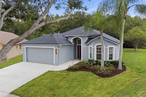 Villa ou maison à Lutz, Floride 3 chambres, 181.53 m2 № 2126185