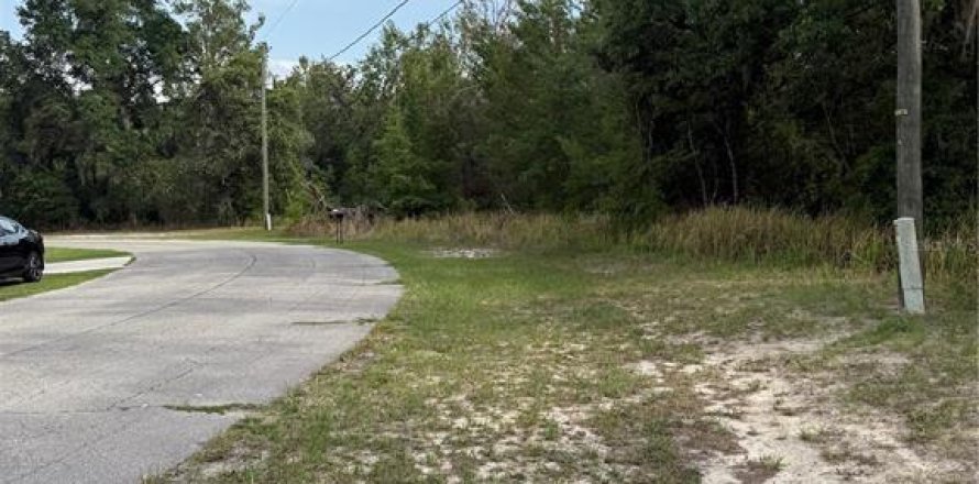 Terreno en Ocala, Florida № 1682905