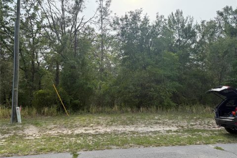 Terreno en venta en Ocala, Florida № 1682905 - foto 4
