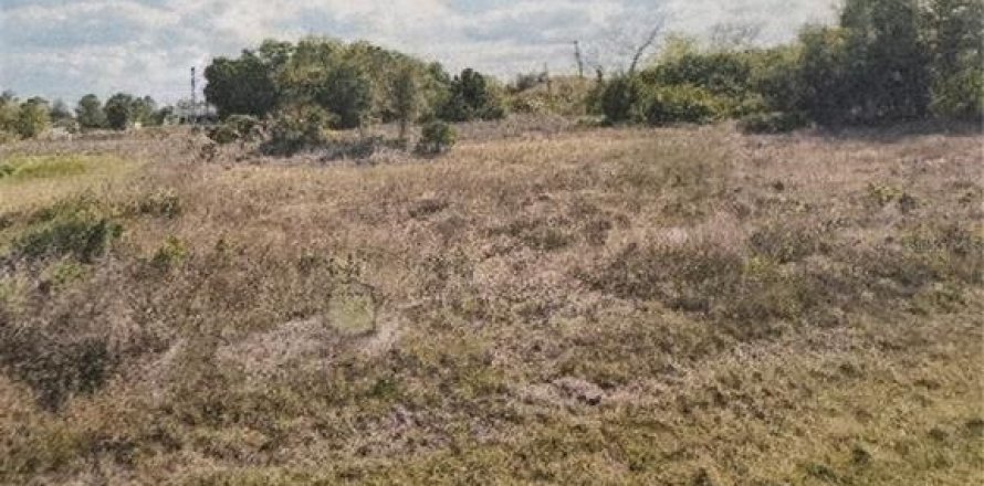 Terreno en Lehigh Acres, Florida № 2223955